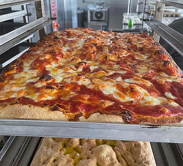 MaterPro Ricetta - Pizza in teglia/pala con lievito madre